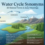 water cycle synonyms