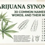 marijuana synonyms